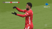 Happy Germany GIF by MolaTV