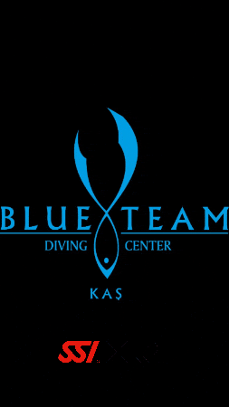 Blueteamdiving giphygifmaker giphyattribution blueteamdivingcenter blueteamdiving GIF