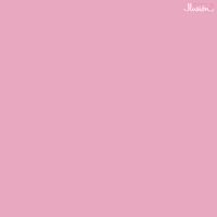 ilusiononline mexico tradicion ofrenda ilusiononline GIF