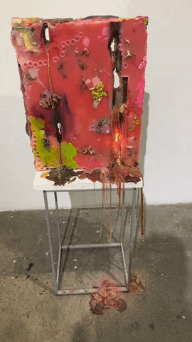 sargentsdaughters giphygifmaker GIF