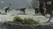 Home Oops GIF by Apple TV+