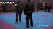 martial arts mma GIF by AKBAN Academy