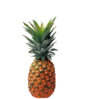 pineapple STICKER by imoji