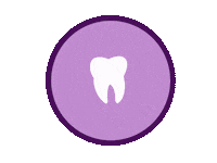 Sweet Tooth Dentist Sticker by Timothy Jay Sweets