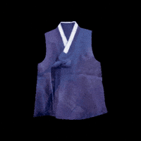 Lunar New Year Korea GIF by vank