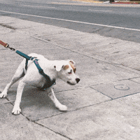 What are you looking at?