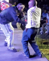 Molho GIF