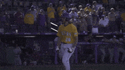 Baton Rouge Baseball GIF by LSU Tigers