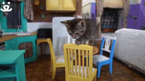 I Believe In You GIF by Best Friends Animal Society