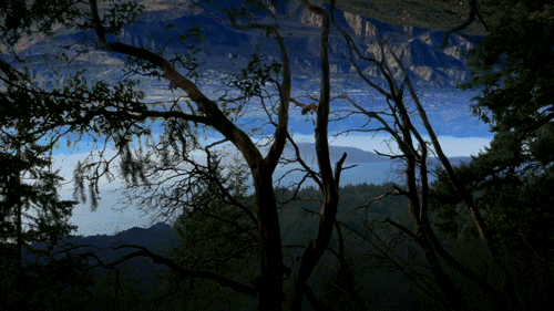 uniondocs giphyupload documentary uniondocs documentaryarts GIF