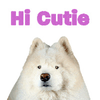 Cutie Ryder Sticker