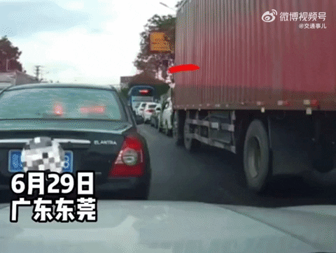 cuteanimalland giphyupload GIF