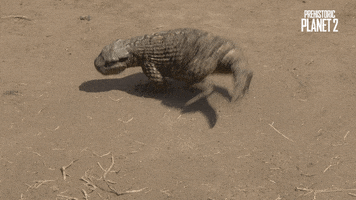 Stay Back Go Away GIF by Apple TV