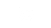 Bdsm Rope Sticker by Shibari Study