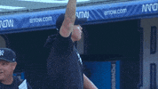 Happy New York Yankees GIF by YES Network