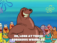 Season 6 GIF by SpongeBob SquarePants