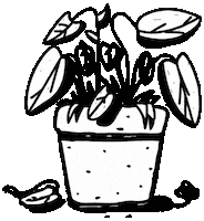 House Plant Sticker