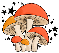 Red Orange Stars Sticker