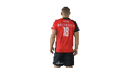 Volleyball Volley Sticker by VERVA Warszawa ORLEN Paliwa