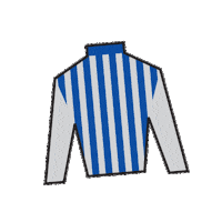 Horse Racing Sticker by Kentucky Derby