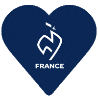France Tennis Sticker by FFT
