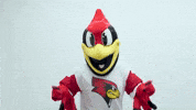 Mascot Reggie GIF by Illinois State University