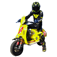 ParmakitAsia vespa polini malossi smallframe Sticker