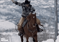proskijor horse skiing horses snowboarding GIF