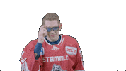 Hockey Family Sticker by Eisbären Regensburg