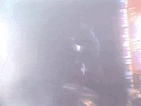 prince controversy GIF