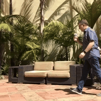 GIF by Brittlestar
