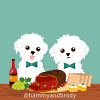 Dog GIF by HammyandBrody