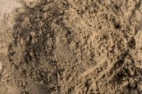 Rogue Ales Summer GIF by Rogue Ales & Spirits