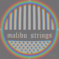 Malibustrings malibu strings bikinis malibustrings GIF