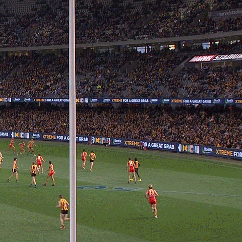 GIF by AFL