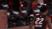 Nba Playoffs GIF by NBA