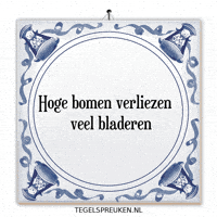 Humor Nl GIF by Tegelspreuken.nl