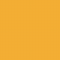Election 2020 GIF by INTO ACTION