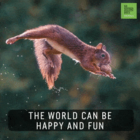 Photography Joy GIF by 60 Second Docs