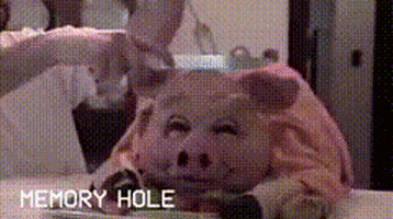 pork memory hole GIF