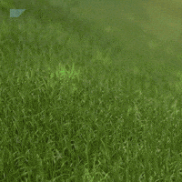 Joyeuses Paques Spring GIF by SAP