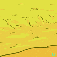 GIF by gifnews