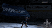 ice hockey GIF by NHL