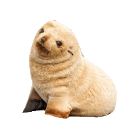 Sticker by erichamlet
