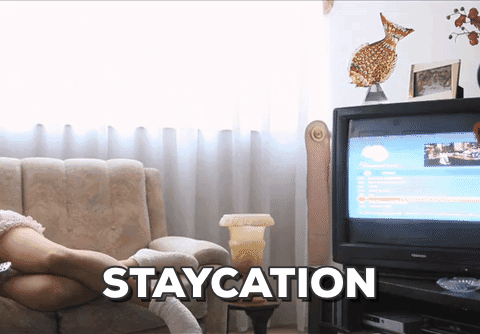 Staycation GIF