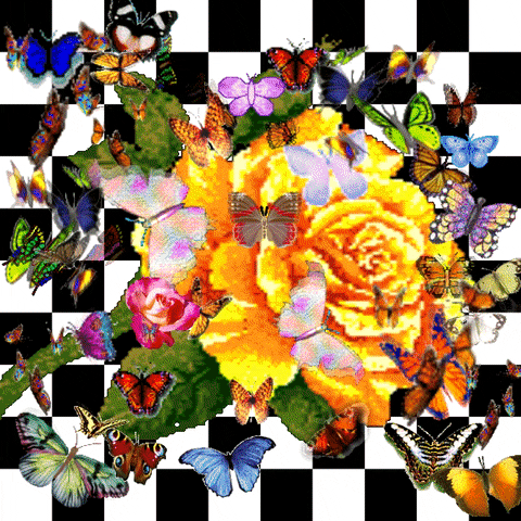 MattyFurious giphyupload flower 90s butterfly GIF