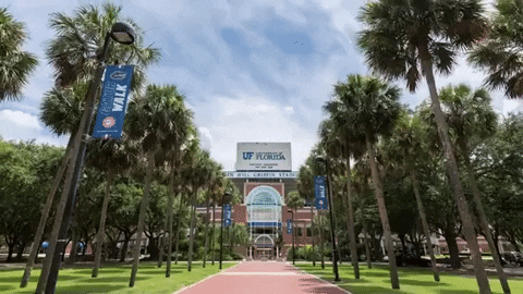 Football Stadium GIF by University of Florida