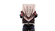 Celebration Hockey Sticker by Les Ducs d'Angers