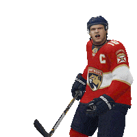 Goal Celebrate Sticker by EASPORTSNHL