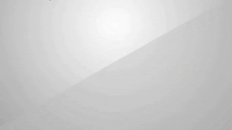 fireflydaily giphyupload GIF